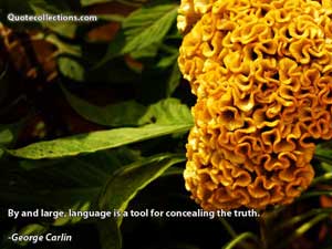George Carlin Quotes 4